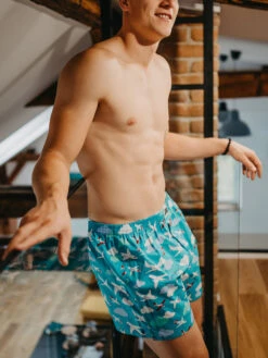 Lustige Shorts Für Männer Flugzeuge Und Wolken 15 Lustige Shorts Für Männer Flugzeuge Und Wolken -Dedoles Airplanes Clouds 2