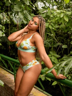 Lustige Nahtlose Bralette Für Damen Aprikosen -Dedoles Apricots 1