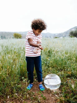 Lustige Knöchelsocken Für Kinder Aquariumfische -Dedoles Aquarium Fish 2 1