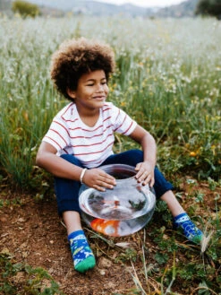 Lustige Knöchelsocken Für Kinder Aquariumfische -Dedoles Aquarium Fish 3 1