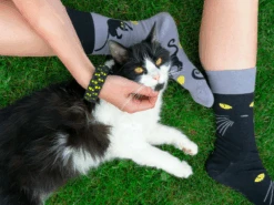 Blaues, Gelbes Und Schwarzes Paracord-Armband Katze -Dedoles Blue Yellow Black Paracord Bracelet 1