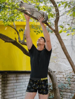 Lustige Boxershorts Für Männer 3er-Pack Schwarze Eleganz -Dedoles Cat Eyes 2 square