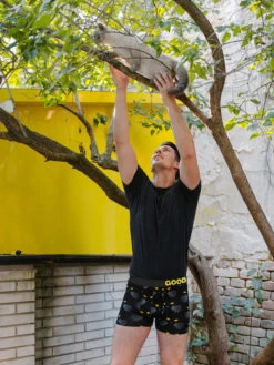 Lustige Boxershorts Für Männer Katzenaugen -Dedoles Cat Eyes 6