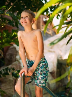 Lustige Badeshorts Für Jungen Kokosnuss -Dedoles Coconut 15