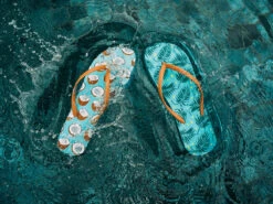 Lustige Flip-Flops Kokosnuss -Dedoles Coconut 1