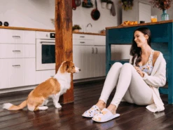 Lustige Hausschuhe Corgi-Hund -Dedoles Corgi Dog 5