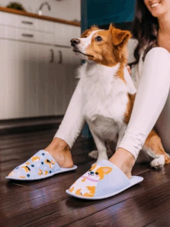 Lustige Hausschuhe Corgi-Hund -Dedoles Corgi Dog 8