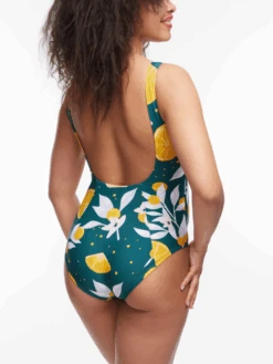 Lustiger Einteiliger Damenbadeanzug Orangen -Dedoles D F BW SW OPS C 1583 3