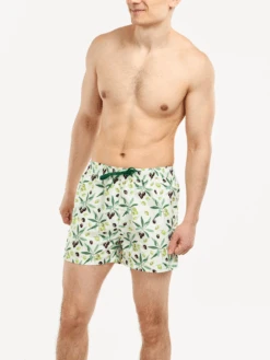 Lustige Badeshorts Für Männer Oliven -Dedoles D M BW SSH C RP 1595 6