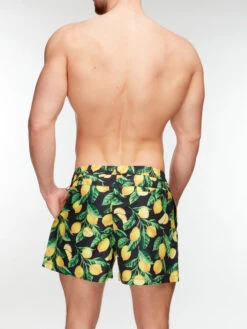 Lustige Badeshorts Für Männer Zitronen 13 Lustige Badeshorts Für Männer Zitronen -Dedoles D M SCL S SSH C 1213 3