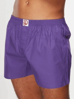 Dunkelviolette Shorts Für Männer 12 Dunkelviolette Shorts Für Männer -Dedoles D M UN LB B C 1000 4
