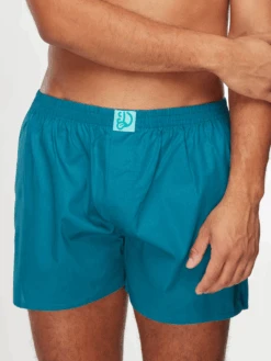 Blaugrüne Shorts Für Männer -Dedoles D M UN LB B C 1173 4