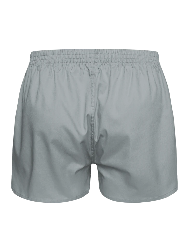 Hellgraue Shorts Für Männer 4 Hellgraue Shorts Für Männer – Bild 2