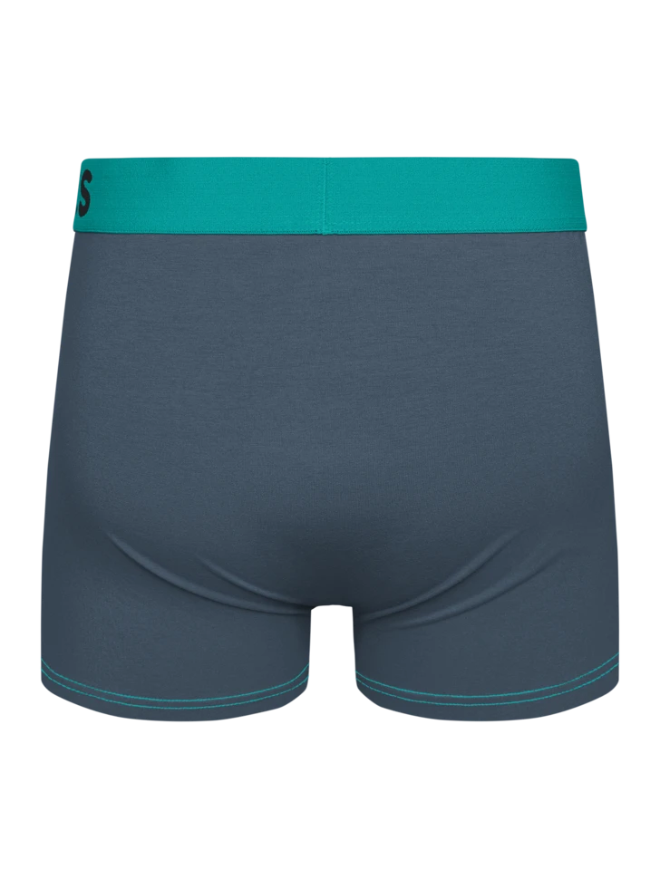 Graue Und Türkisfarbene Boxershorts Für Männer 4 Graue Und Türkisfarbene Boxershorts Für Männer – Bild 2