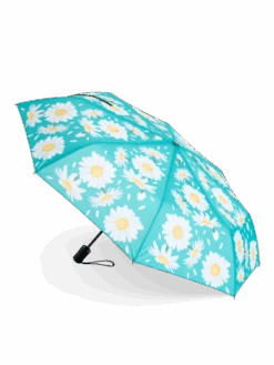 Lustiger Regenschirm Sommer-Gänseblümchen