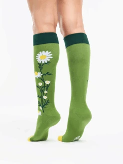 Lustige Kniestrümpfe Kamillentee 10 Lustige Kniestrümpfe Kamillentee -Dedoles D W H UKS C C 227 3