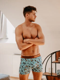 Lustige Boxershorts Für Männer Dachshund -Dedoles Dachshund 12