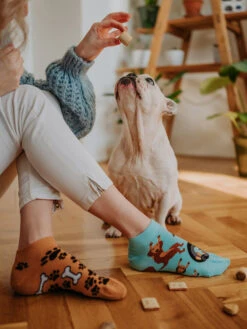 Lustige Knöchelsocken Dachshund -Dedoles Dachshund 18