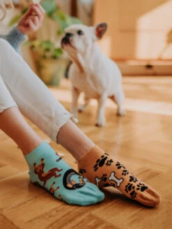 Lustige Knöchelsocken Dachshund -Dedoles Dachshund 23