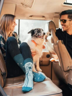 Lustige Socken Löwenzahn -Dedoles Dandellion 2