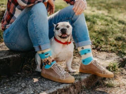 Lustige Socken Hunde Und Streifen -Dedoles Dogs Stripes 2 1