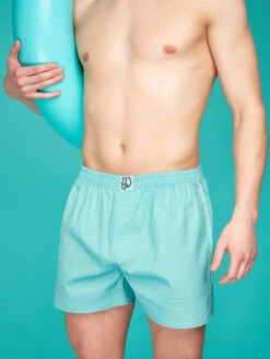 Blasstürkise Shorts Für Männer -Dedoles Dusty Turquoise Men s Boxer Shorts 3