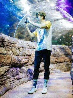 Lustige Socken Schwimmende Qualle 8 Lustige Socken Schwimmende Qualle -Dedoles Floating Jellyfish 3