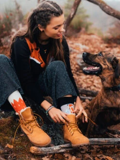 Lustige Socken Fuchs -Dedoles Fox 1