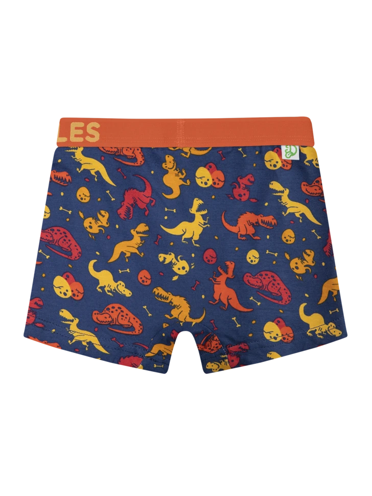 Lustige Boxershorts Für Jungen Welt Der Dinosaurier 4 Lustige Boxershorts Für Jungen Welt Der Dinosaurier – Bild 2