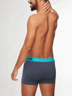 Anthrazitgraue Boxershorts Für Männer -Dedoles GMBMT1180 4