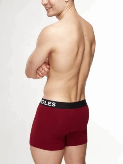 Herren Boxershorts Weinrot -Dedoles GMBMT941 4