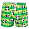 Lustige Shorts Für Männer Panda Und Streifen -Dedoles GMLB249 1