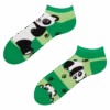 Lustige Knöchelsocken Panda Und Streifen -Dedoles GMLS249