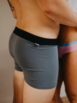 Herren Boxershorts Grau -Dedoles Grey Basic Men s Trunks 1