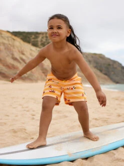 Lustige Badeshorts Für Jungen Hamster Und Streifen -Dedoles Hamster Stripes 1