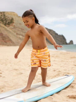 Lustige Badeshorts Für Jungen Hamster Und Streifen -Dedoles Hamster Stripes 2