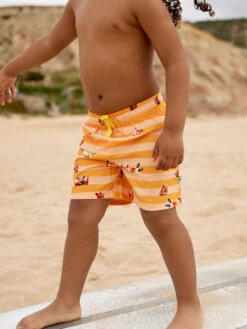 Lustige Badeshorts Für Jungen Hamster Und Streifen -Dedoles Hamster Stripes 5
