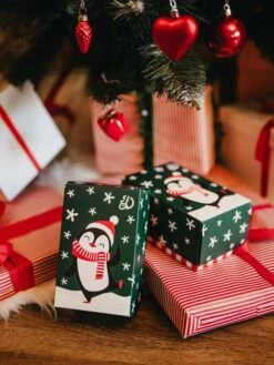 Klassische Geschenkbox Hallo Pinguin -Dedoles Hello Penguin 3