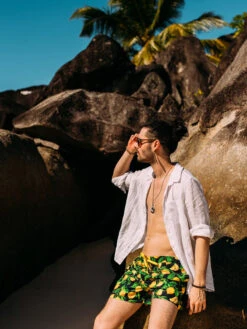 Lustige Badeshorts Für Männer Zitronen 17 Lustige Badeshorts Für Männer Zitronen -Dedoles Lemons 9