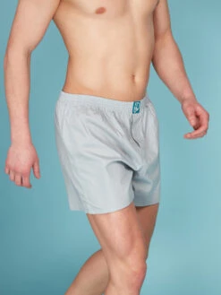 Hellgraue Shorts Für Männer 10 Hellgraue Shorts Für Männer -Dedoles Light Grey Men s Boxer Shorts 3