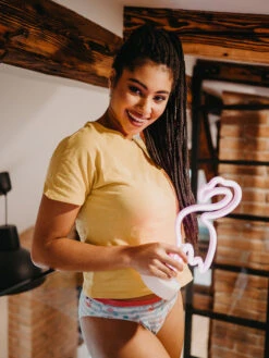 Lustige Damenhöschen Liebes-Flamingos 13 Lustige Damenhöschen Liebes-Flamingos -Dedoles Love Flamingos 1