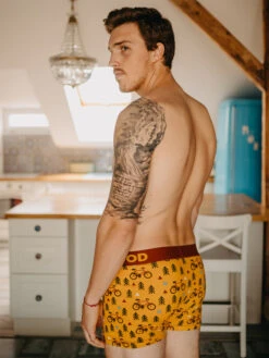 Lustige Boxershorts Für Männer Auf Der Strecke -Dedoles On the Road 1