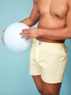 Pastellgelbe Shorts Für Männer -Dedoles Pastel Yellow Men s Boxer Shorts 3