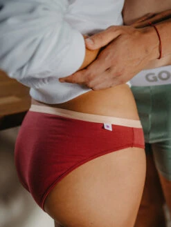 Damenhöschen Rostbraun 10 Damenhöschen Rostbraun -Dedoles Raspberry Basic Women s Briefs 3