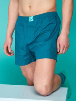 Blaugrüne Shorts Für Männer -Dedoles Teal Men s Boxer Shorts 2