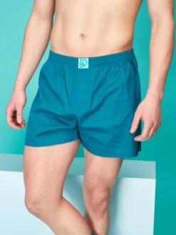 Blaugrüne Shorts Für Männer -Dedoles Teal Men s Boxer Shorts 3