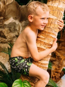 Lustige Badeshorts Für Jungen Tyrannosaurus Rex -Dedoles Tyrannosaurus Rex 3