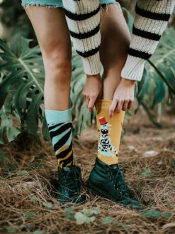 Lustige Socken Zebrakünstler -Dedoles Zebra Artist 2