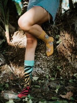 Lustige Socken Zebrakünstler -Dedoles Zebra Artist 4