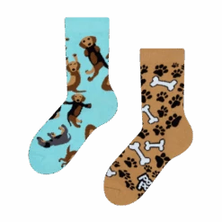 Lustige Kindersocken Dachshund